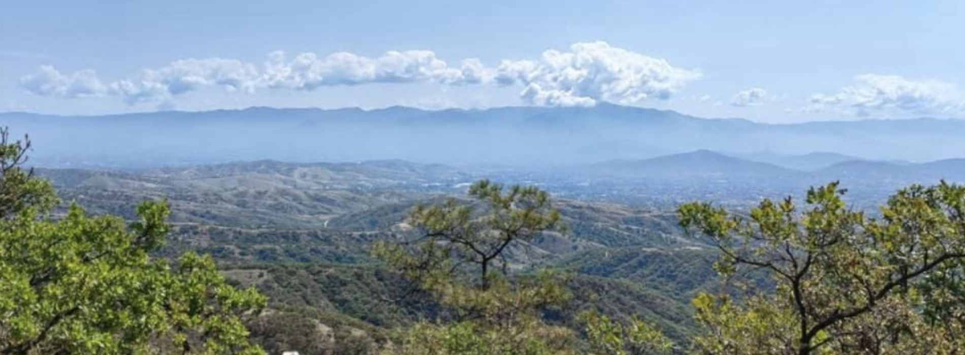 Basurero “ilegal” pone en riesgo la reserva ecológica del Parque Nacional Benito Juárez